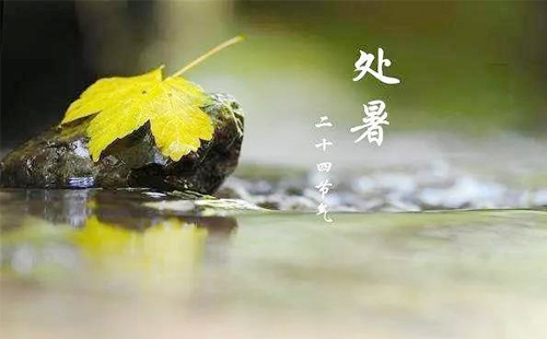 程成纸品-——-处暑温情，纸品传情.jpg